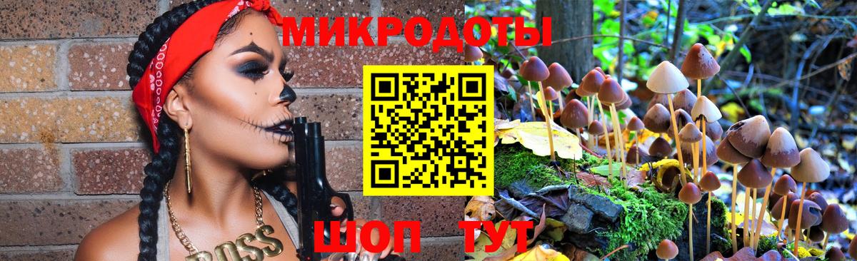 Дедовск  Псилоцибиновые грибы мицелий  Вход с VPN 